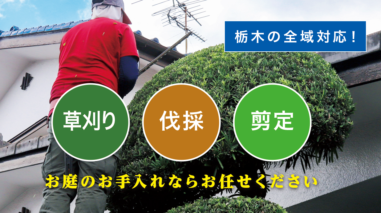 ���R�s�ő�����E����E���̂Ȃ�u����̑叫�v