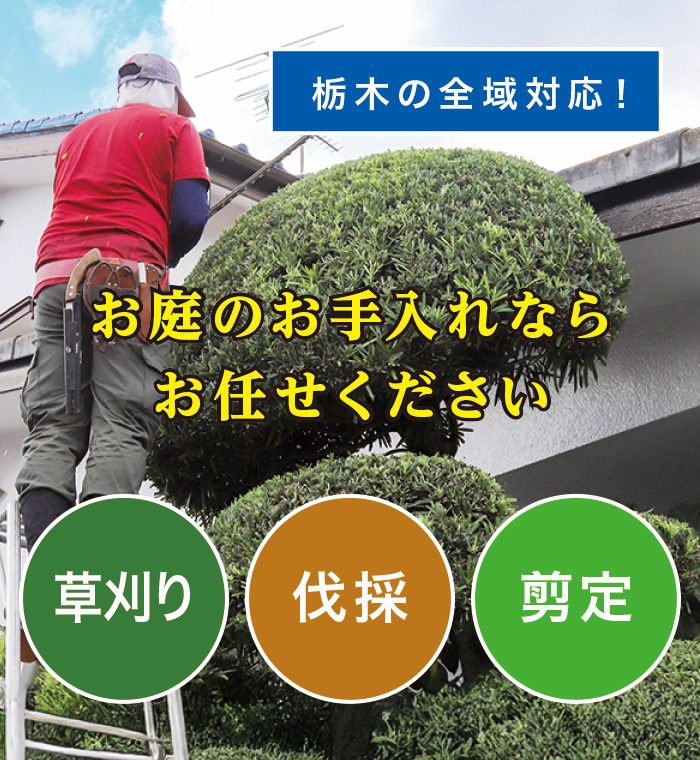 壬生町で草刈り・剪定・伐採なら「お庭の大将」 壬生町で草刈り・剪定・伐採なら「お庭の大将」